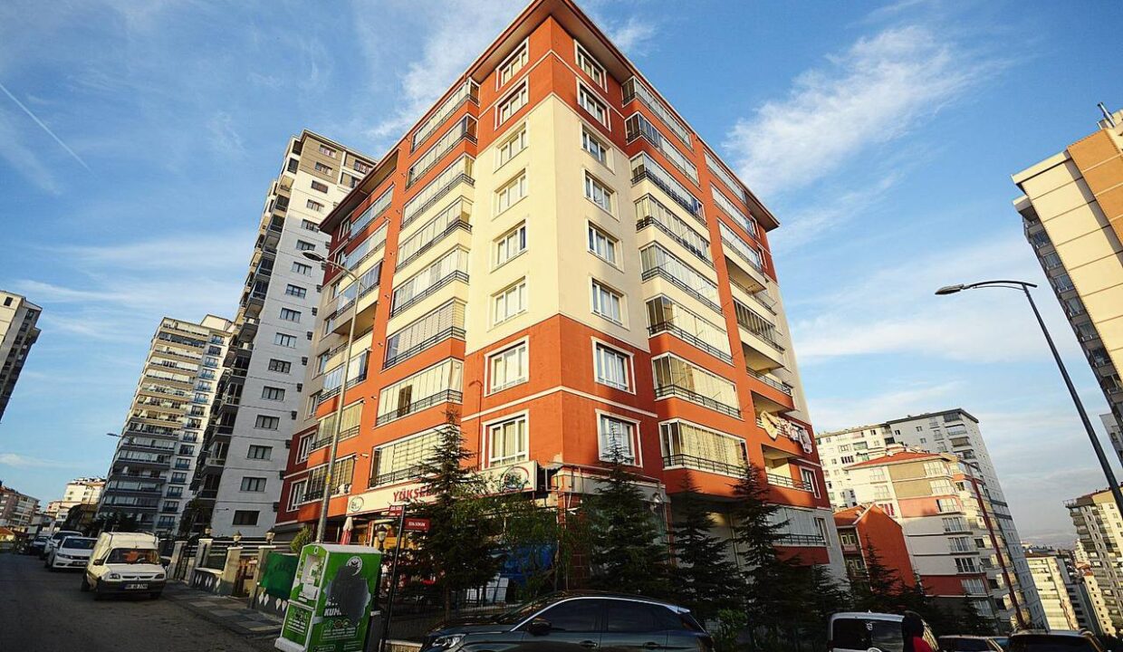 photo_5978725219587703175_y