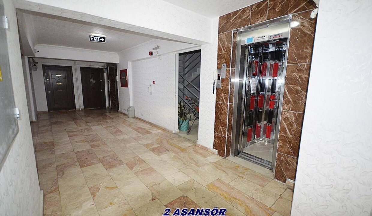 photo_5978725219587703176_y