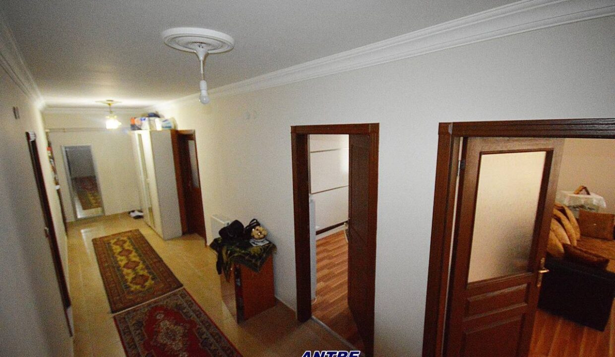 photo_5978725219587703178_y