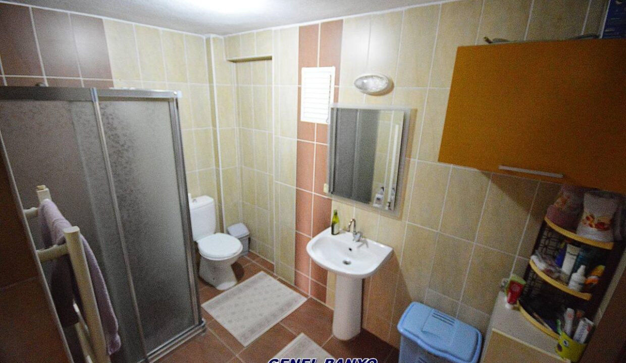 photo_5978725219587703184_y (1)