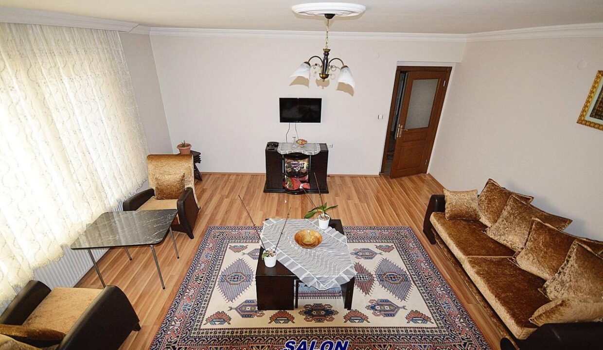 photo_5978725219587703203_y