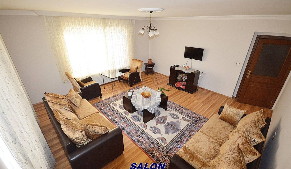 photo_5978725219587703204_y